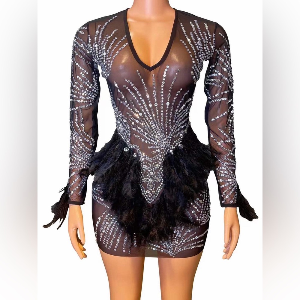 Long Sleeve Crystal and Feather Dress
